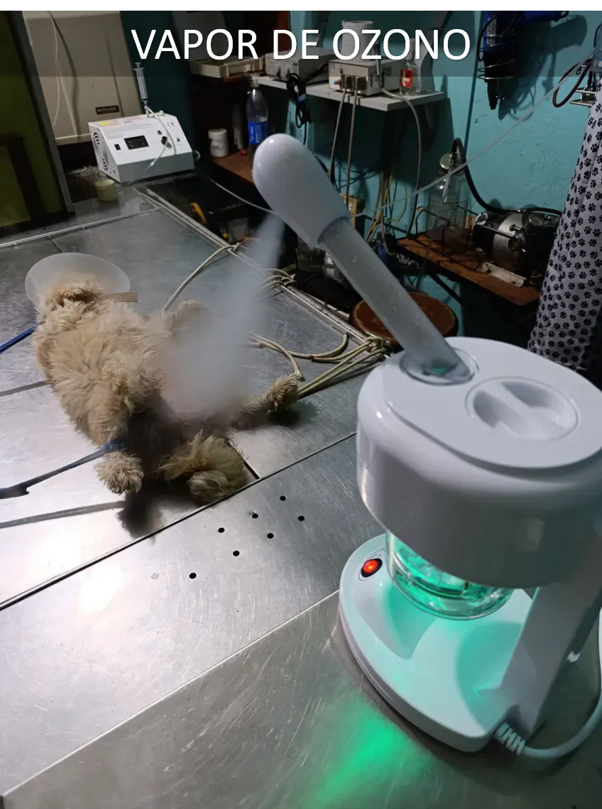 Fisioterapia
